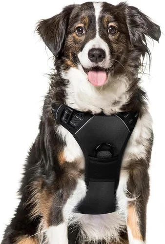 Miniatura 81 de Eagloo Arnés para perro pequeño, sin tirones, chaleco de servicio con tiras reflectantes y asa de control, ajustable y cómodo para caminar, arnés