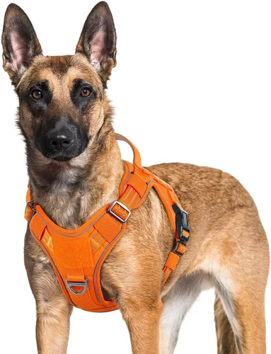 Miniatura 11 de rabbitgoo - Arnés para perros pequeño sin tirones, chaleco táctico de servicio con Molle y asa de control, arnés militar ajustable y reflectante