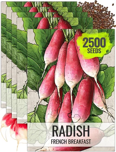 Miniatura 19 de Seed Needs Semillas de rábano para plantar rábanos sandía, reliquia sin OMG y sin tratar, cultiva un huerto cultivado en casa, cultivos para clima