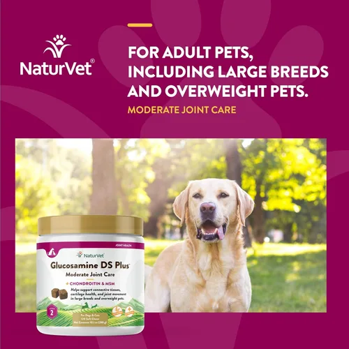 Miniatura 4 de NaturVet – Glucosamina DS Plus - Nivel 2 Cuidado Moderado – Apoya la Función Saludable de Cadera y Articulaciones – Mejorado con Glucosamina, MSM