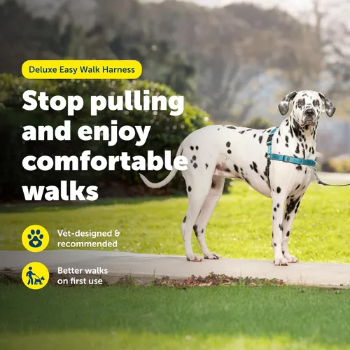 Miniatura 3 de PetSafe Arnés Deluxe Easy Walk – Arnés de pecho para perro de confianza del entrenador con diseño de bucle martingala transpirable – Ayuda a dejar