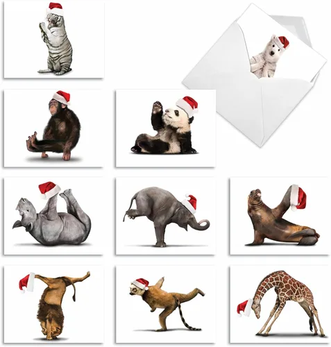 Miniatura 8 de The Best Card Company Paquete variado de 10 tarjetas navideñas de animales con sobres, humor silvestre festivo para hombres y mujeres