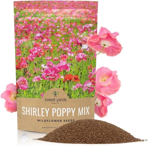 Miniatura 10 de Shirley - Semillas de amapola - Colores mezclados - Paquete extra grande - Más de 200,000 semillas de flores silvestres polinizadas abiertas sin OMG