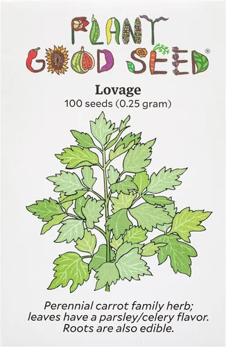 Miniatura 14 de Plant Good Seed Semillas de anís, paquete de 125 semillas tradicionales para plantar hierbas y flores, suministros de jardinería, flores silvestres
