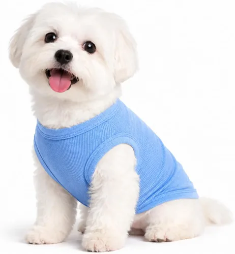 Miniatura 21 de Lovelonglong Ropa para mascotas de verano 2019, ropa para perro, camisetas en blanco, camisetas acanaladas, chalecos de hilo superior para perros