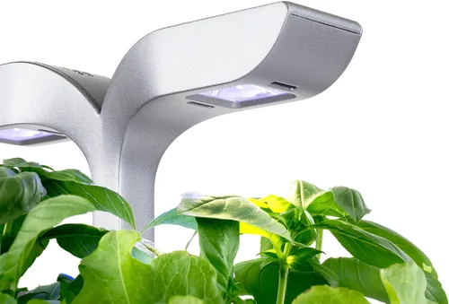 Miniatura 2 de Jardín interior inteligente de Véritable® - Exky Smart Arctic White - 2 lingots® incluidos