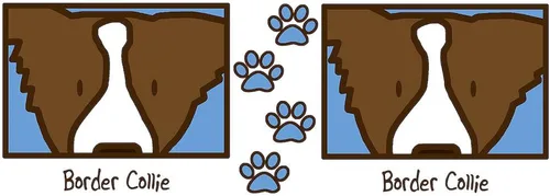 Miniatura 3 de CafePress Anime Brown Border Collie Mug 11 oz (325 ml) Ceramic Coffee Mug
