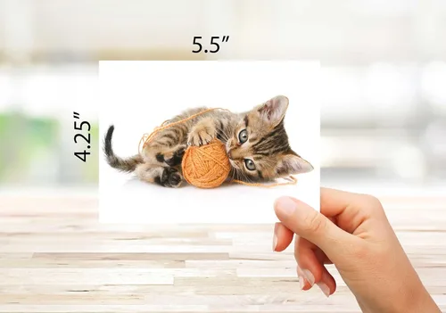 Miniatura 3 de Tarjetas divertidas de gatito, paquete de 12 tarjetas divertidas de notas de gato con sobres, 4 divertidos diseños de fotos, interior en blanco