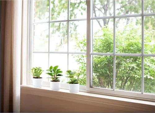 Miniatura 5 de Peperomia obtusifolia en macetas decorativas de 4 pulgadas, planta de goma para bebé, planta de interior viva, purificador de aire, apto