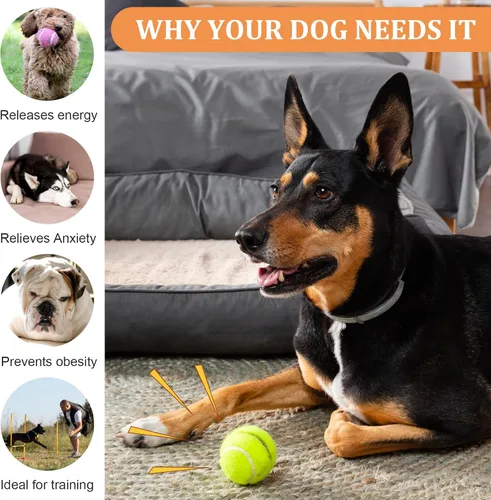 Miniatura 4 de DIVINA VITAE 20 pelotas de tenis pequeñas para perros, 2 pulgadas, coloridas mini pelotas de tenis para todos los lanzadores de pelotas de perro