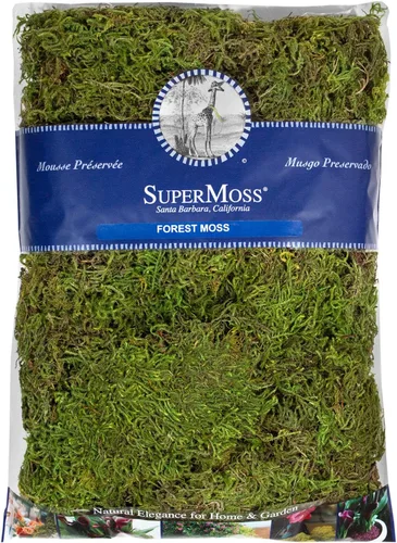 Miniatura 11 de SuperMoss Musgo forestal preservado perfecto para plantas de interior, manualidades y decoración, verde fresco, 4 onzas