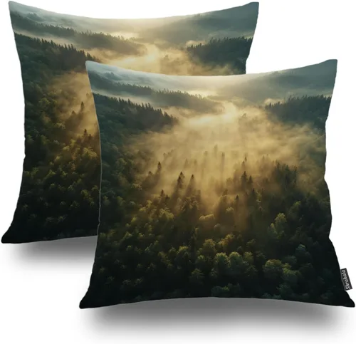Miniatura 38 de Shrahala Abstract Art Modern Aesthetic Decorative Pillow Covers, Fluid Forms Minimalist Throw Pillow Cover Blended Hidden Zipper Cushion Cases for