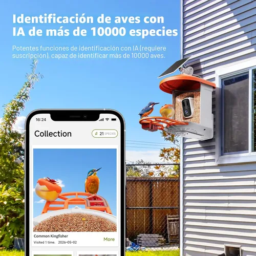 Miniatura 2 de HARYMOR Comedero para pájaros con cámara con IA para identificar especies de aves alimentado por energía solar, casa inteligente para pájaros