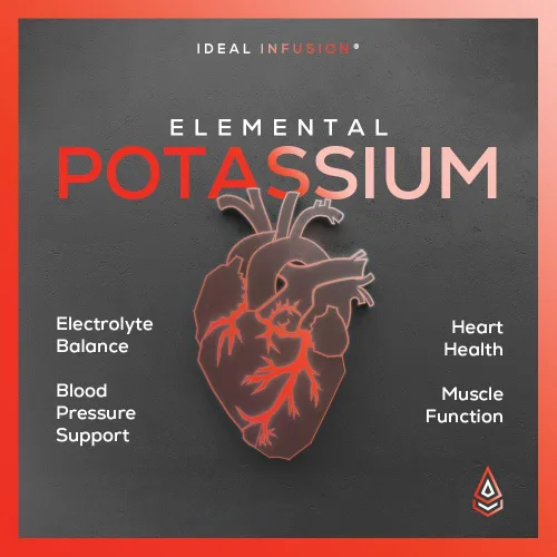 Miniatura 3 de Malato de Potasio 1389mg - Producción de ATP y energía celular, equilibrio electrolítico - Potasio elemental 500mg (240 cápsulas) vegano