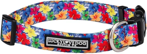Miniatura 24 de Lucky Love Dog - Collar para perras pequeñas, diseño Blackbird de estampado alegre con flores de primavera y verano, talla XS