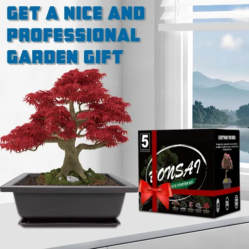 Miniatura 5 de Kit de inicio de Bonsái Sproutix, 5 semillas que crecen en Acacia, Glicinia, Sakura, Arce Rojo y Pino Negro, Incluye herramientas de jardinería