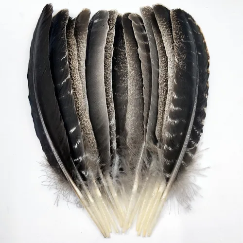 Miniatura 9 de Plumas de pavo negro, pluma larga natural grande de 10 a 13 pulgadas, plumas bilaterales de tamaño grande para manualidades, 12 piezas (pavo negro)