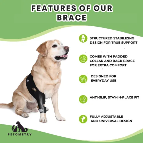 Miniatura 2 de Rodillera universal para perro con paquete de terapia de frío/calor, ajustable, transpirable, collar extra cómodo con soporte estabilizador