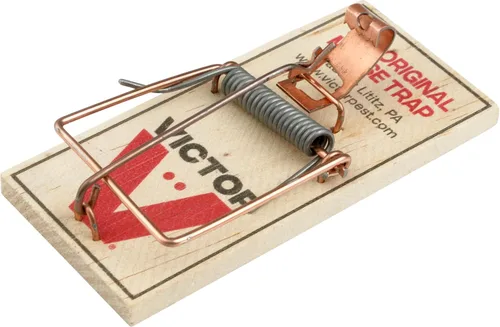Miniatura 16 de Trampas para ratones Victor M035-12, pedal de plástico, madera FSC de origen sostenible, trampas para ratones de madera, paquete de 12