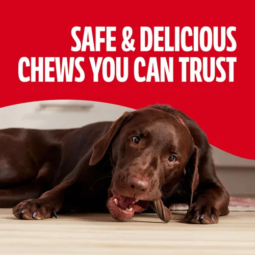 Miniatura 5 de Milk-Bone - Masticables de confort, golosinas para perros sin piel dura con textura masticable única y carne de vacuno real, 16 masticables, fáciles