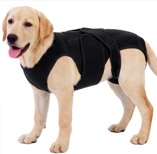 Soporte de espalda para perro para IVDD y recuperación espinal, chaleco de apoyo transpirable ajustable para perro, protector lumbar para perros