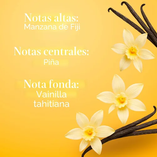 Miniatura 3 de Body Fantasies Signature Fragrance Body Spray, vainilla, 8 onzas líquidas (paquete de 2)