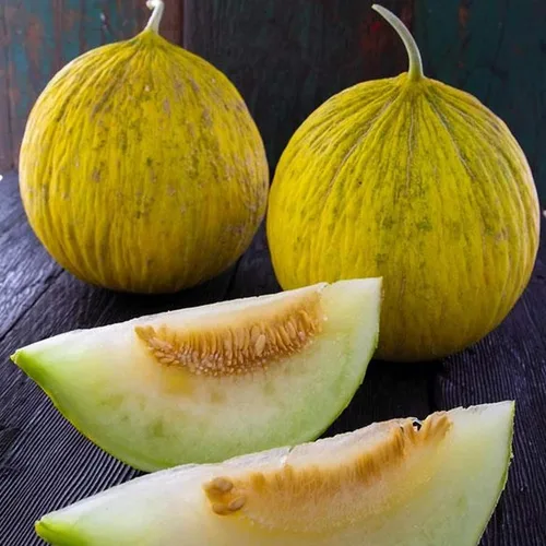 Melón Casaba Sungold orgánico - 0.04 oz ~ 30 Semillas - Orgánico, sin OMG, polinizado abierto - Semillas de jardinería de verduras y frutas de
