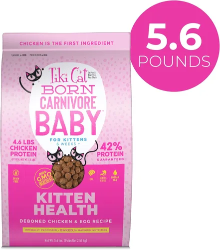 Miniatura 2 de Tiki Cat Born Carnivore Baby, alto en proteínas y sin granos, alimento seco completo y equilibrado para gatos para gatitos de 6 semanas en adelante