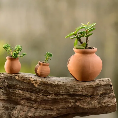 Miniatura 2 de Sewroro 9 mini macetas de cerámica para suculentas, pequeñas macetas de arcilla para espacios pequeños y decoración de oficina