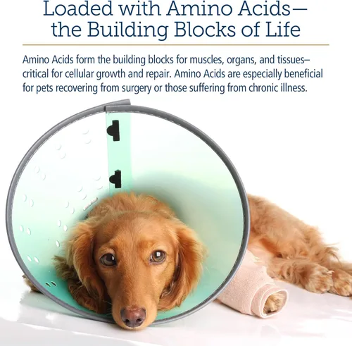 Miniatura 5 de Rx Vitamins Amino B Plex Suplemento para gatos y perros, líquido de complejo de vitamina B más aminoácidos para perros y gatos, potenciador
