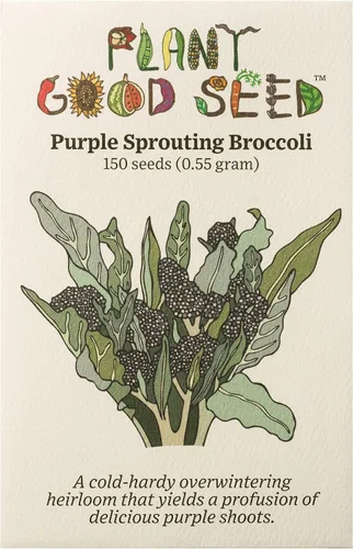 Miniatura 6 de Plant Good Seed Semillas de brócoli Marathon F1 para plantar: vegetales de alto rendimiento, cabezas verdes pesadas, paquete de 75 semillas