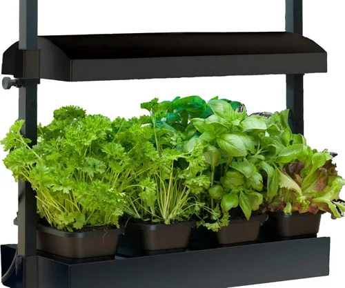 Miniatura 3 de SunBlaster T5HO - Micro Growlight Garden para interiores, kit de cultivo en casa, color blanco