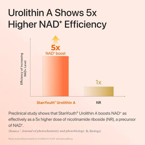 Miniatura 6 de Gynable Urolitina A NAD+ Complejo con Trans-Resveratrol y PQQ – Energía celular y fuerza muscular, suplemento de longevidad para dormir