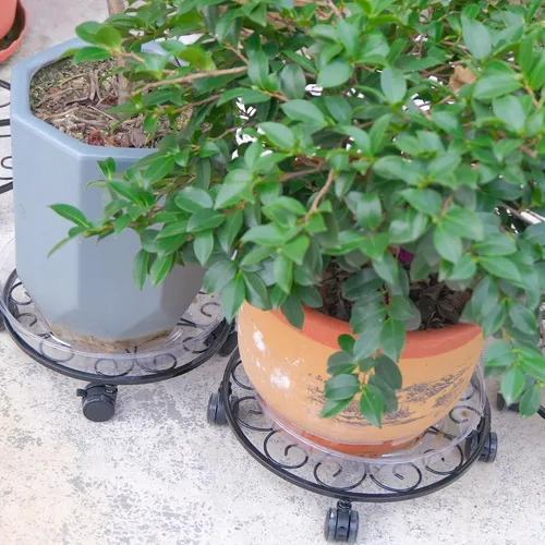 Miniatura 9 de Paquete de 6 soportes de metal para plantas con ruedas de 12 pulgadas con ruedas, soporte de hierro forjado resistente, rodillos para plantas