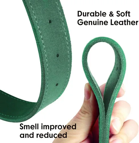 Miniatura 6 de Didog Collares de perro de cuero genuino con placa de identificación grabada, collar de perro de cuero suave personalizado con etiqueta de Verde
