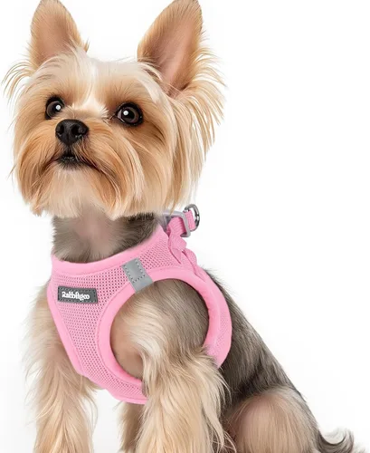 Miniatura 27 de rabbitgoo Arnés para perro pequeño, chaleco de malla suave para cachorros con hebilla de seguridad, arnés reflectante transpirable para mascotas