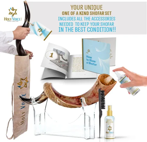 Miniatura 3 de Holy Voice Cuerno kosher Kudu Shofar de Israel – Shofar tradicional yemenita medio pulido incluye bolsa de transporte, cepillo y guía de soplado