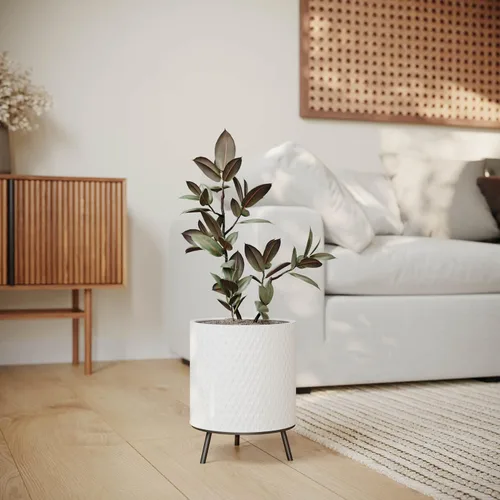Miniatura 8 de EverNest Claire - Maceta blanca neutra de panal con soporte Nyra, macetas de interior, SelectBase, estilo bohemio moderno de mediados de siglo