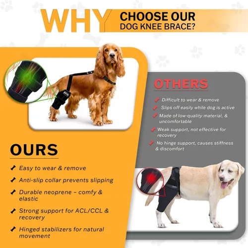Miniatura 8 de Rodillera para perro – Soporte ajustable para pierna trasera para desgarro de ACL, dolor en las articulaciones, artritis y recuperación de lesiones.