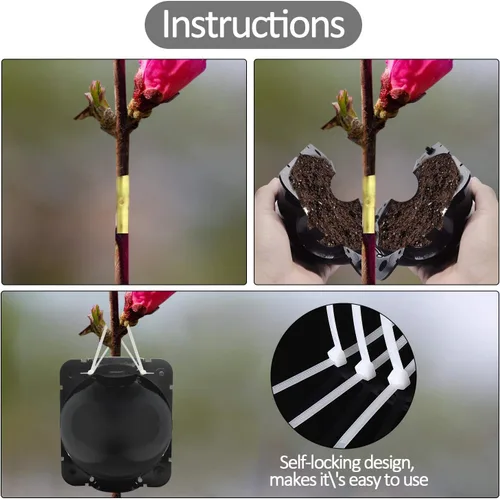 Miniatura 4 de 16 cajas de cultivo de raíces de plantas de gran tamaño, dispositivo de injerto, dispositivo de enraizamiento de plantas reutilizable, cajas