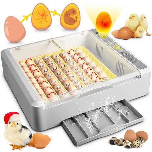 Incubadora de huevos 36-60 con giro automático de huevos y control de humedad, incubadora de huevos de pollo con pantalla digital, incubadoras de