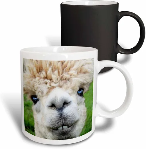 Miniatura 9 de 3dRose Alpaca. Lama. South America. White. 11oz Two-Tone Black Mug