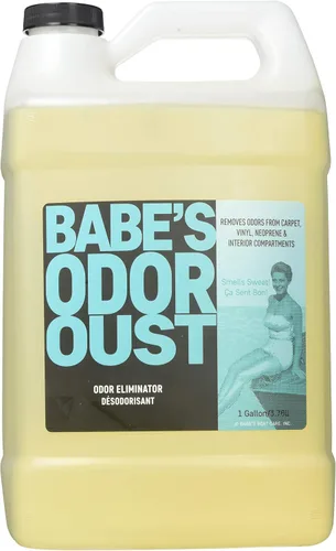 Babe's Odor Oust - Spray eliminador de olores marinos para barcos, alfombras y tapicería, neutraliza olores, repele la suciedad y deja aroma fresco,