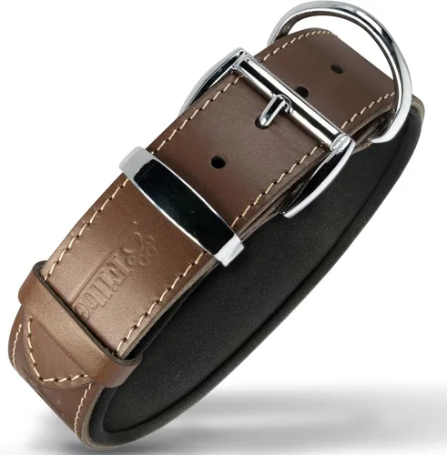 Miniatura 8 de Filbert Collar de cuero para perro, collar de cuero genuino para perros pequeños, estampado de patas en relieve con hebilla, grano completo curtido
