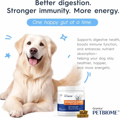 Miniatura 5 de Oraticx PetBiome - Probiótico masticable para perros, apoya la salud digestiva diaria, el equilibrio intestinal y el sistema inmunológico, con raíz