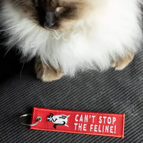 Miniatura 2 de Llavero de gato para llaves de coche, llaves de casa, amantes de mascotas y regalos