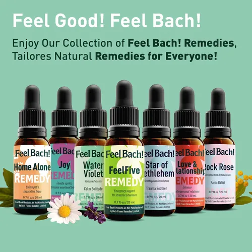 Miniatura 7 de Feel Bach! Flower Essence cuentagotas de agua, violeta, 0.7 fl oz, 0.7 fl oz
