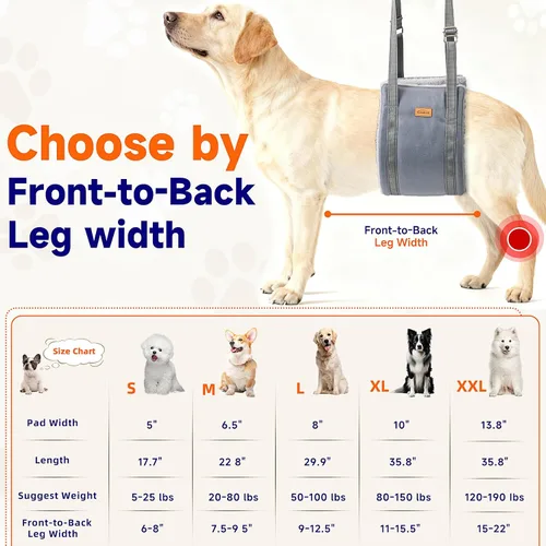 Miniatura 2 de Arnés de elevación para perros pequeños, arnés ajustable para patas traseras, arnés de soporte de cadera para ayudar a levantar la parte trasera