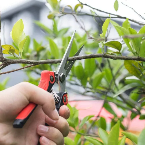 Miniatura 2 de WYF Tijeras de podar, tijeras de jardín profesionales, cuchillas rectas de acero inoxidable, podadora de mano afilada para jardinería para jardín