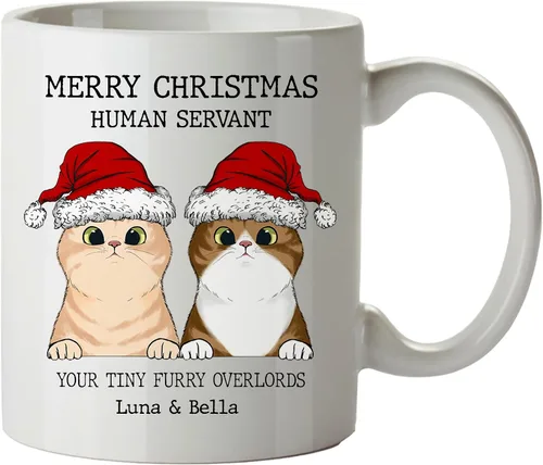 Regalos de gatos para los amantes de los gatos, taza de gato personalizada, taza de gato de Feliz Navidad, ideas de regalos para dueños de gatos,
